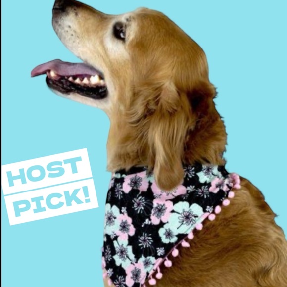 Vibrant Life Other - Vibrant Life Floral Bandana - Size M/L